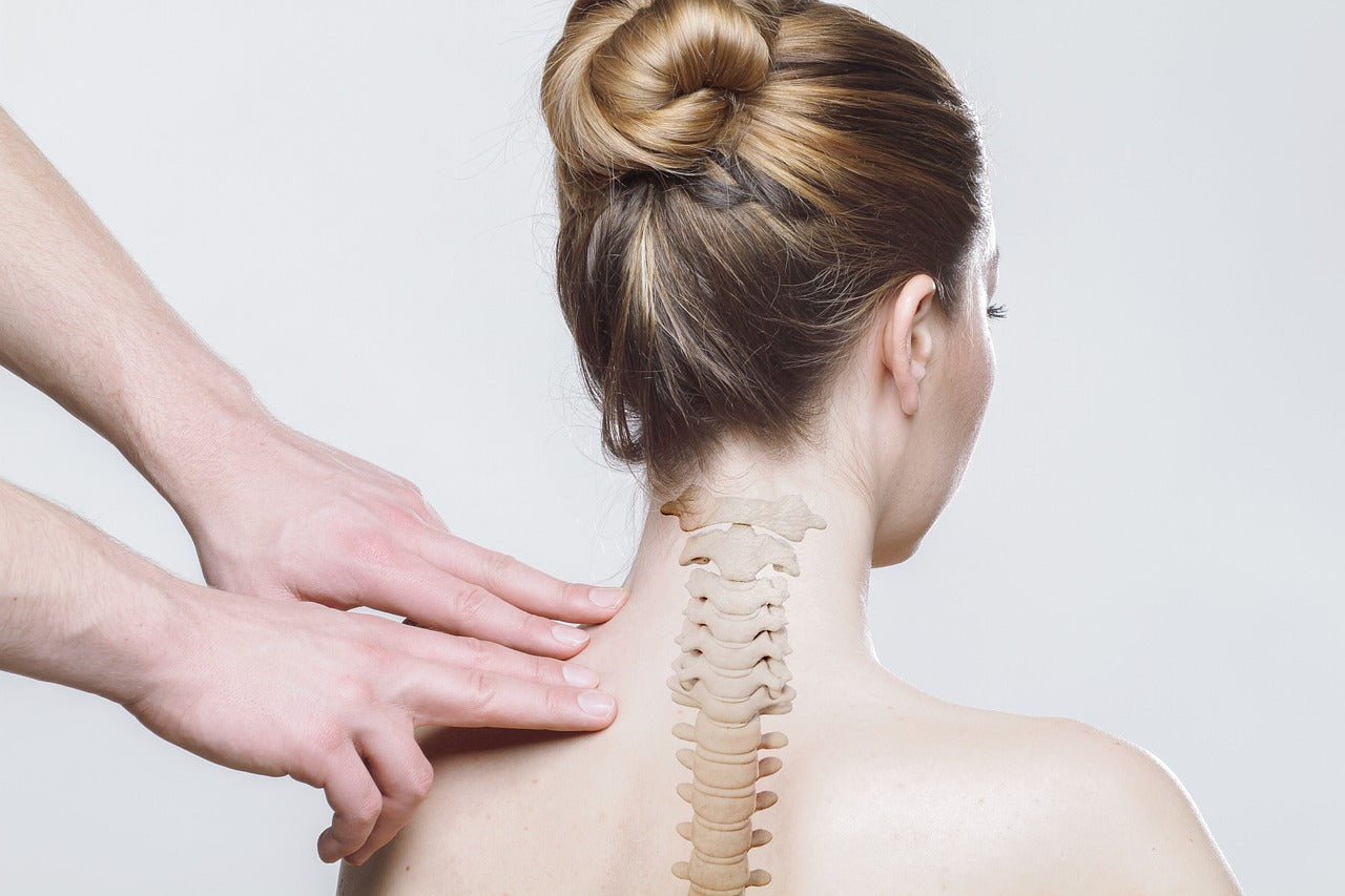 Formation Massage Viscéral Chinois - Module 2 - Libération de l'épaule et membres supérieurs - 6 méridiens de la main
